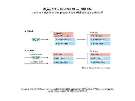 Figure 3 Simplified EULAR and GRAPPA