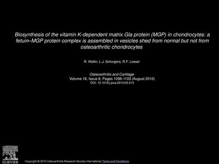 Biosynthesis of the vitamin K-dependent matrix Gla protein (MGP) in chondrocytes: a fetuin–MGP protein complex is assembled in vesicles shed from normal.