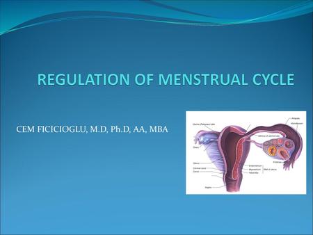 REGULATION OF MENSTRUAL CYCLE