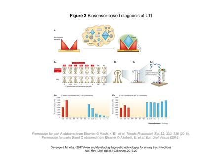 Figure 2 Biosensor-based diagnosis of UTI