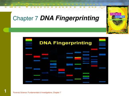 Chapter 7 DNA Fingerprinting