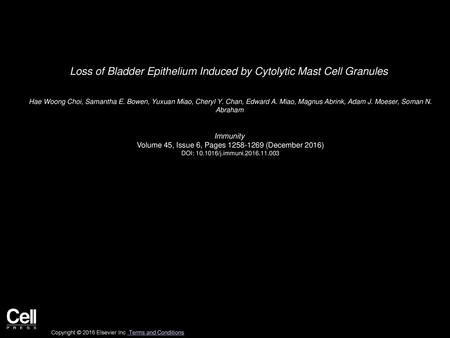 Loss of Bladder Epithelium Induced by Cytolytic Mast Cell Granules