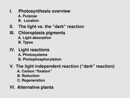 Photosynthesis overview