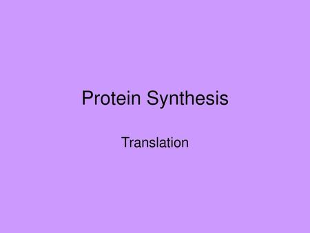 Protein Synthesis Translation.