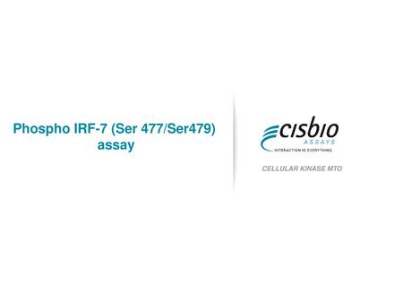 Phospho IRF-7 (Ser 477/Ser479)