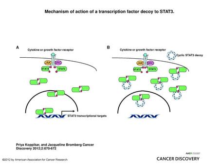 Mechanism of action of a transcription factor decoy to STAT3.