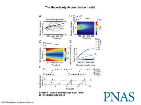 The Uncertainty Accumulation model.