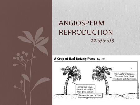 Angiosperm reproduction