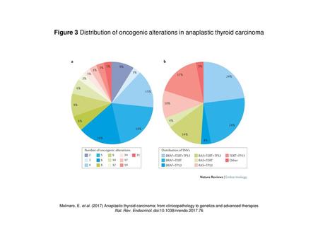 Nat. Rev. Endocrinol. doi: /nrendo