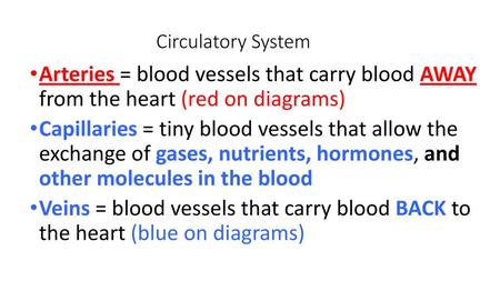 Circulatory System Arteries = blood vessels that carry blood AWAY from the heart (red on diagrams) Capillaries = tiny blood vessels that allow the exchange.