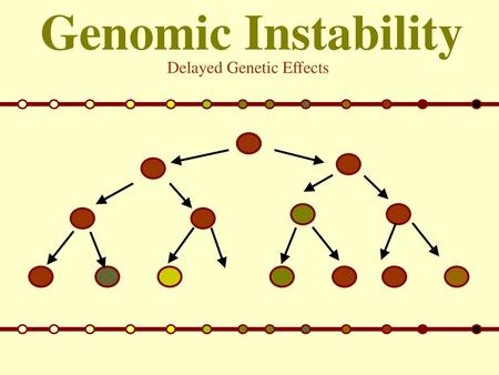 Genomic Instability Delayed Genetic Effects.