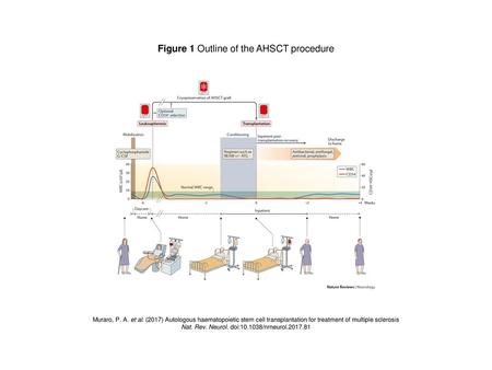 Figure 1 Outline of the AHSCT procedure