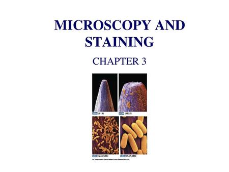 MICROSCOPY AND STAINING