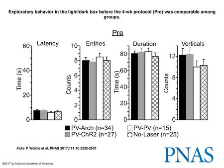 Exploratory behavior in the light/dark box before the 4-wk protocol (Pre) was comparable among groups. Exploratory behavior in the light/dark box before.