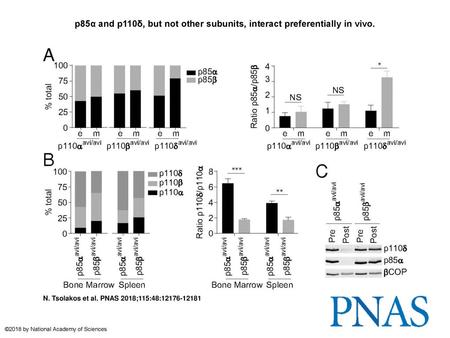 P85α and p110δ, but not other subunits, interact preferentially in vivo. p85α and p110δ, but not other subunits, interact preferentially in vivo. (A) Compares.