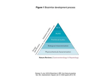 Figure 1 Biosimilar development process