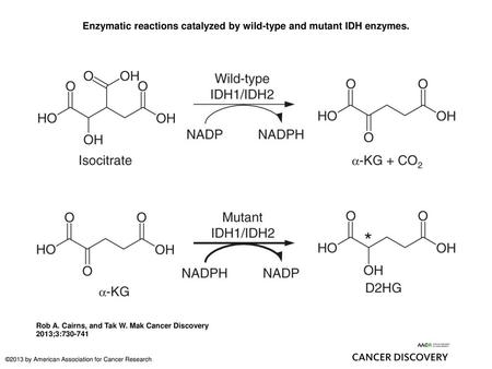 Enzymatic reactions catalyzed by wild-type and mutant IDH enzymes.