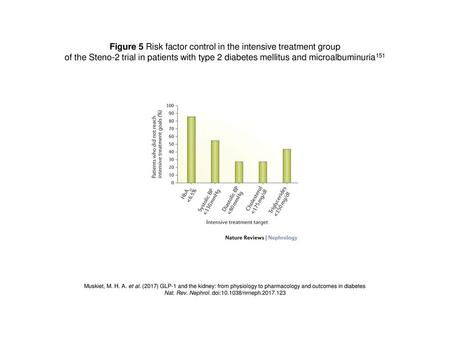 Figure 5 Risk factor control in the intensive treatment group