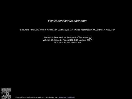 Penile sebaceous adenoma