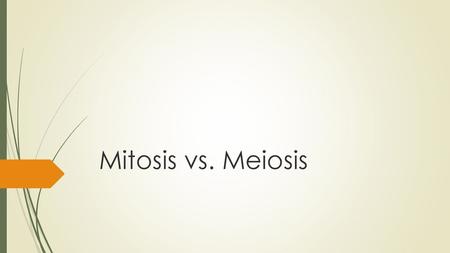 Mitosis vs. Meiosis.