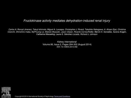 Fructokinase activity mediates dehydration-induced renal injury