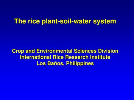 The rice plant-soil-water system