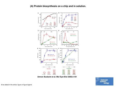 (A) Protein biosynthesis on a chip and in solution.