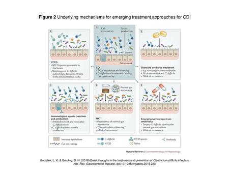 Nat. Rev. Gastroenterol. Hepatol. doi: /nrgastro