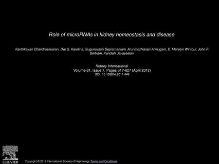 Role of microRNAs in kidney homeostasis and disease