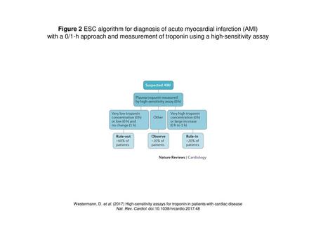 Nat. Rev. Cardiol. doi: /nrcardio