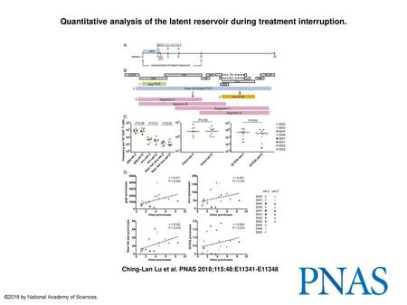 Quantitative analysis of the latent reservoir during treatment interruption. Quantitative analysis of the latent reservoir during treatment interruption.