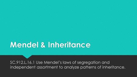 Mendel & Inheritance SC.912.L.16.1 Use Mendel’s laws of segregation and independent assortment to analyze patterns of inheritance.