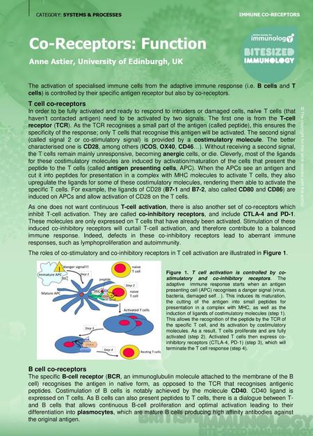 Co-Receptors: Function