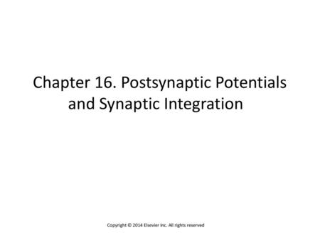 Chapter 16. Postsynaptic Potentials and Synaptic Integration