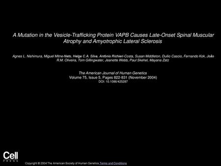 A Mutation in the Vesicle-Trafficking Protein VAPB Causes Late-Onset Spinal Muscular Atrophy and Amyotrophic Lateral Sclerosis  Agnes L. Nishimura, Miguel.