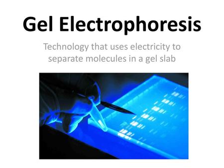 Technology that uses electricity to separate molecules in a gel slab