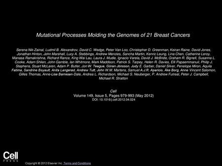 Mutational Processes Molding the Genomes of 21 Breast Cancers