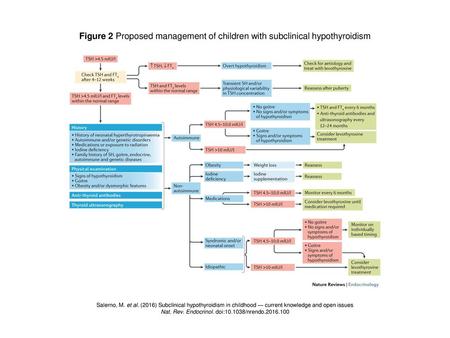 Nat. Rev. Endocrinol. doi: /nrendo