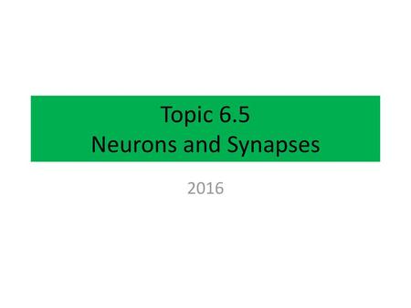 Topic 6.5 Neurons and Synapses