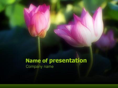 Name of presentation Company name.