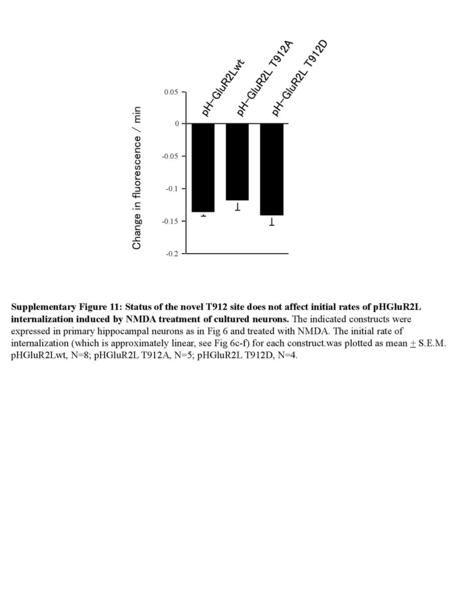 Change in fluorescence / min