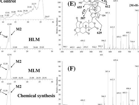 (A) (E) (B) (C) (F) (D) Control HLM MLM Chemical synthesis M2 M2'