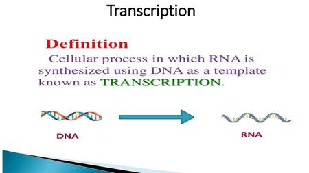 Transcription.