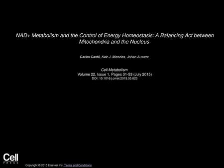 NAD+ Metabolism and the Control of Energy Homeostasis: A Balancing Act between Mitochondria and the Nucleus  Carles Cantó, Keir J. Menzies, Johan Auwerx 