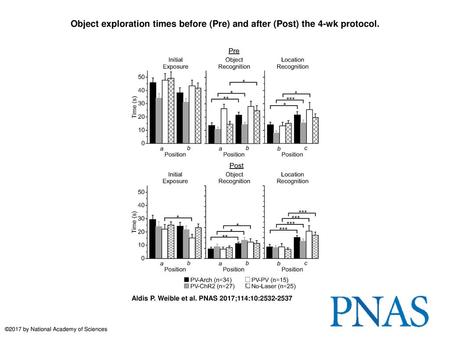 Object exploration times before (Pre) and after (Post) the 4-wk protocol. Object exploration times before (Pre) and after (Post) the 4-wk protocol. During.