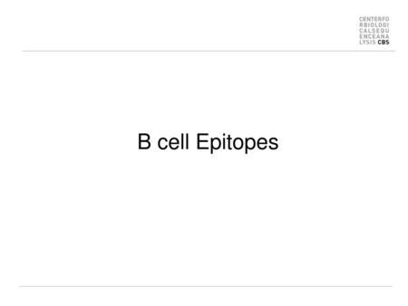 B cell Epitopes.