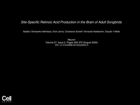 Site-Specific Retinoic Acid Production in the Brain of Adult Songbirds