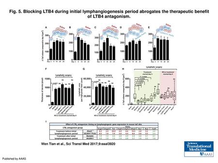 Fig. 5. Blocking LTB4 during initial lymphangiogenesis period abrogates the therapeutic benefit of LTB4 antagonism. Blocking LTB4 during initial lymphangiogenesis.