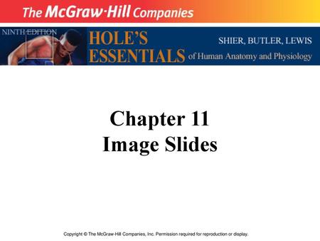 Chapter 11 Image Slides Copyright © The McGraw-Hill Companies, Inc. Permission required for reproduction or display.