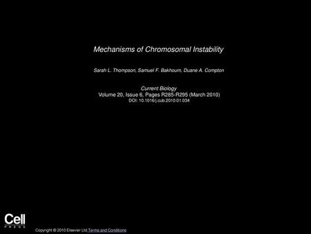 Mechanisms of Chromosomal Instability